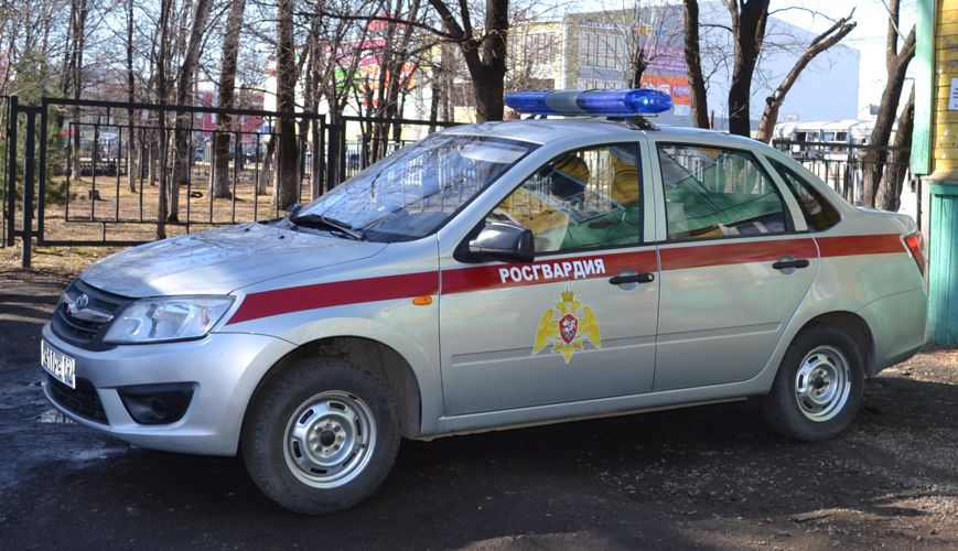 В Биробиджане сотрудники Росгвардии задержали нетрезвого водителя