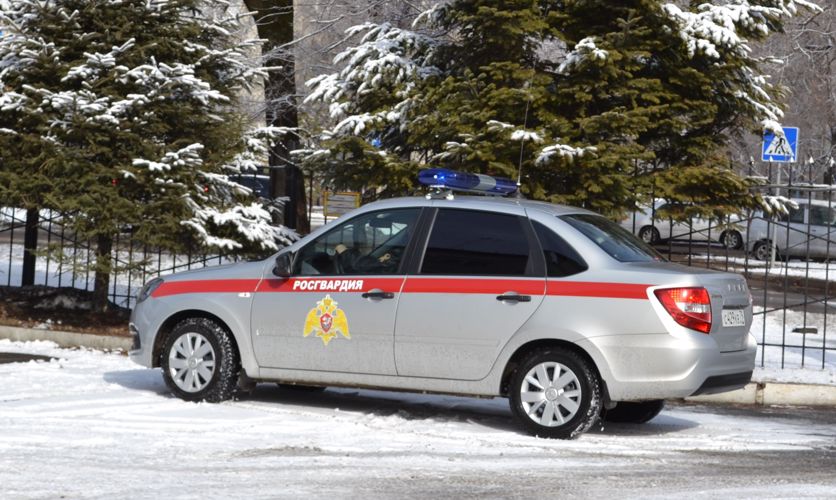 В Биробиджане сотрудники Росгвардии задержали гражданина, подозреваемого в мелком хулиганстве