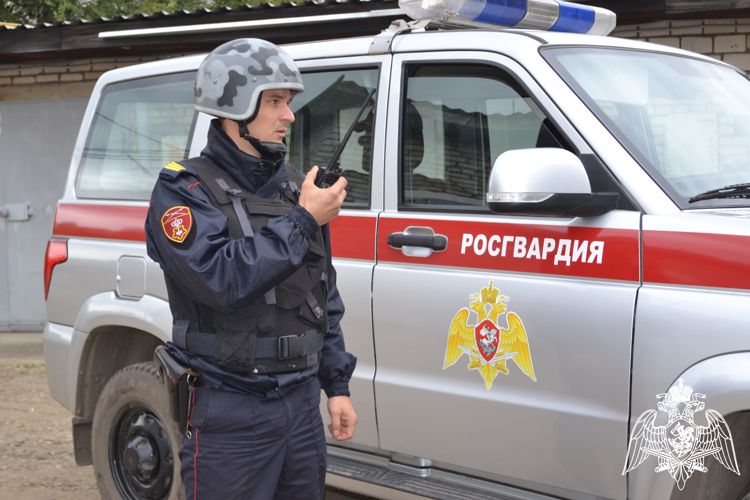 В Биробиджане сотрудники Росгвардии задержали нетрезвого водителя