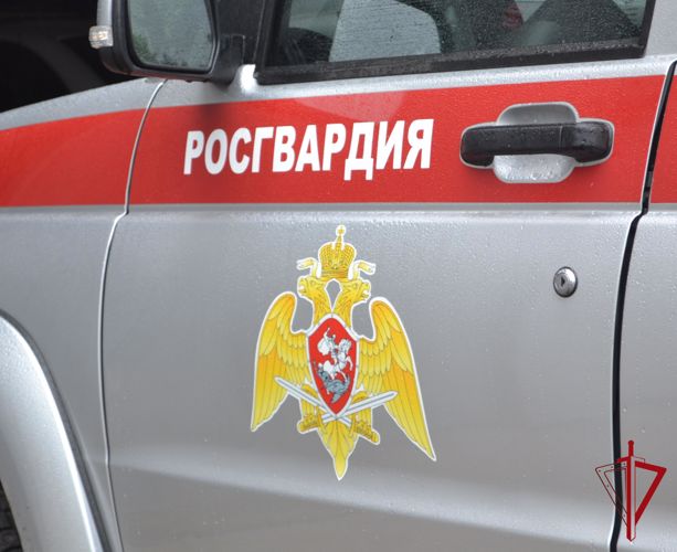 Сотрудники вневедомственной охраны Управления Росгвардии по ЕАО задержали гражданку, подозреваемую в хищении из супермаркета