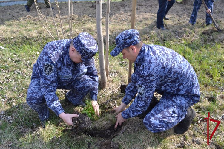Сотрудники и военнослужащие Росгвардии по Еврейской автономной области присоединились к международной акции «Сад памяти»