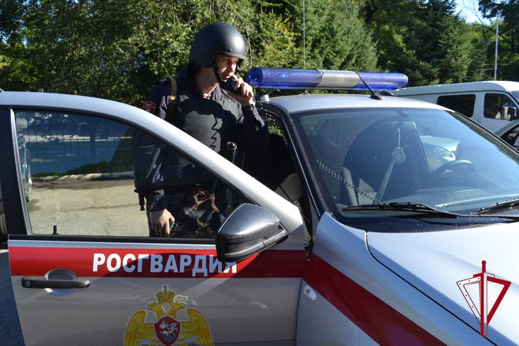 Нетрезвого водителя задержали сотрудники вневедомственной охраны в городе Биробиджане