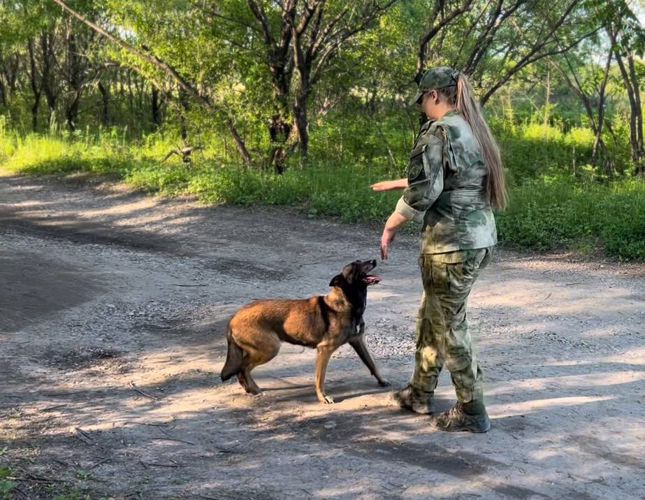 21 июня – День кинологических подразделений войск национальной гвардии Российской Федерации