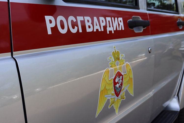 Бойцы Управления Росгвардии по ЕАО задержали подозреваемую в неоднократном хищении товара