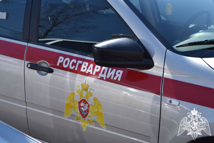 Сотрудники Росгвардии задержали в Биробиджане жителя села Теплоозерска, находящегося в розыске