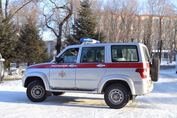 Росгвардейцы задержали биробиджанцев за мелкое хулиганство
