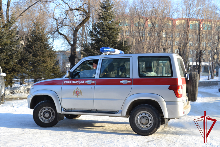 В ЕАО за сутки росгвардейцы задержали дебошира и воровку