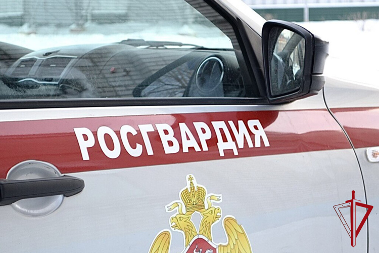 Росгвардия задержала водителя, грубо нарушившего ПДД в Биробиджане