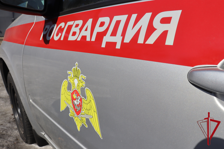 Скандалящего в магазине биробиджанца задержали ночью росгвардейцы