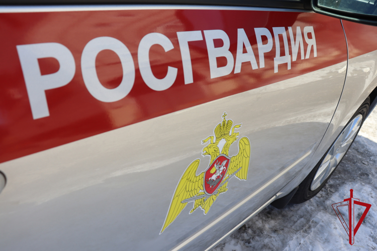 Почти 1200 раз наряды вневедомственной охраны выезжали по «тревоге» в этом году в ЕАО
