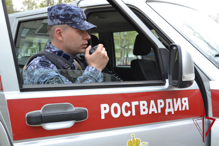 С начала года в Еврейской автономии патруль Росгвардии отработал почти 1500 «тревожных» вызовов