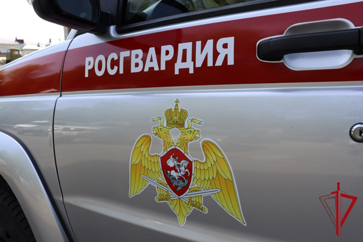 Росгвардейцы задержали хулигана, пугавшего постояльцев отеля Биробиджана