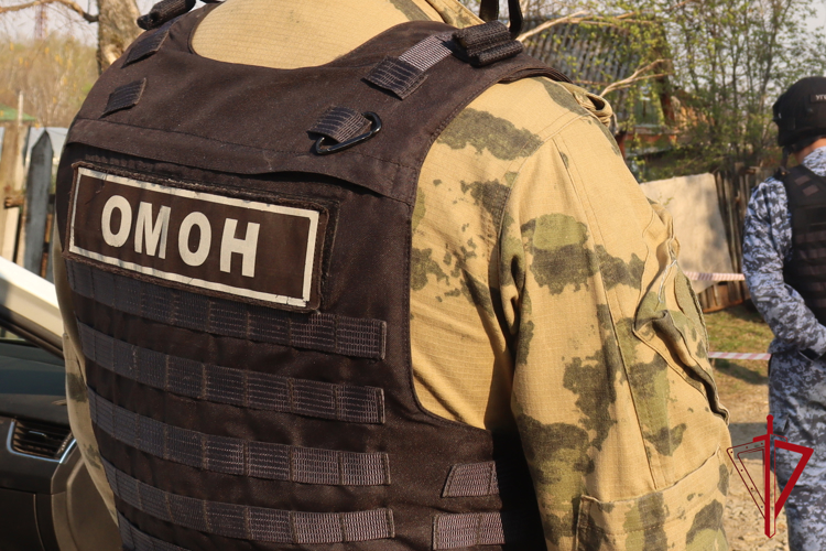 Сапёры Росгвардии обследовали мину в пригороде Биробиджана  