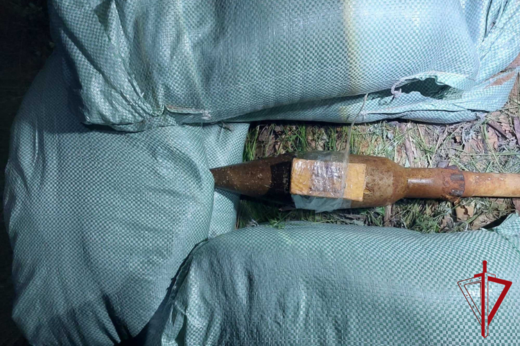ОМОН Росгвардии обезвредил боеприпас, обнаруженный в окрестностях села Кукелево  