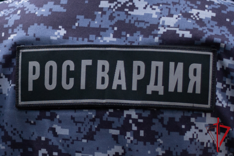 Инспекторы Росгвардии выявили  18 нарушений в работе ЧОП в Еврейской автономии    