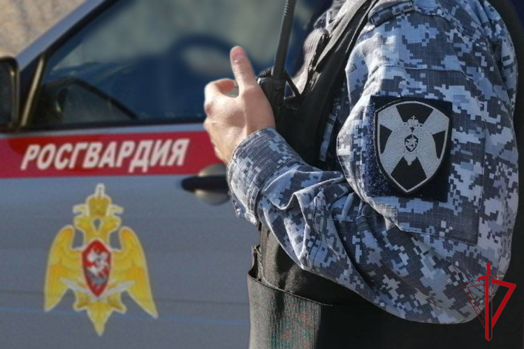 Защитить автомобиль от угона поможет Росгвардия