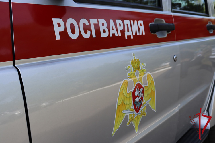 Росгвардейцы пресекли дебош в ресторане города Биробиджана