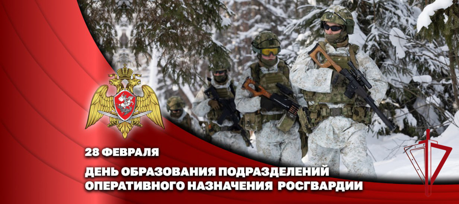 Генерал-полковник Владислав Ершов поздравил личный состав и ветеранов частей оперативного назначения с профессиональным праздником