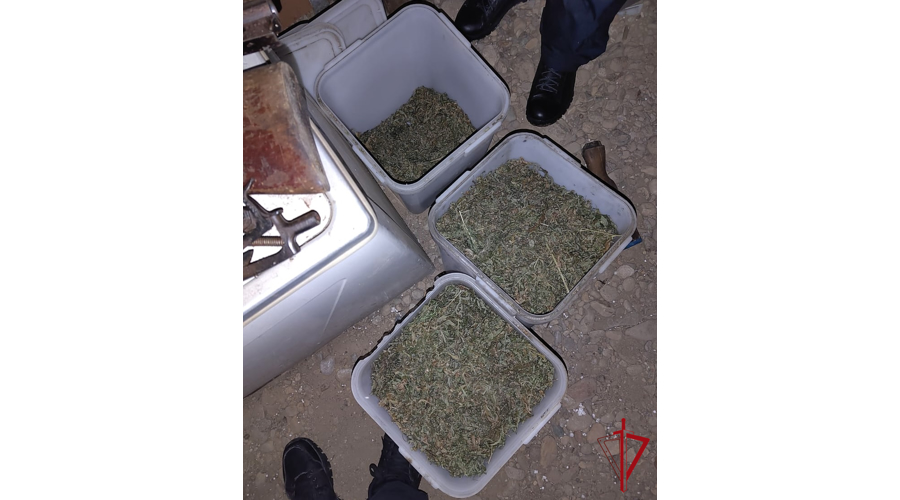 В ЕАО при содействии СОБР задержан подозреваемый в незаконном хранении оружия и наркотиков