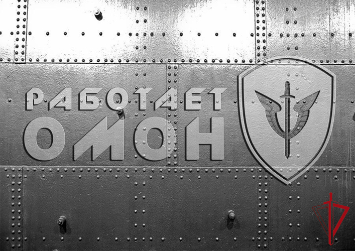 В Биробиджане бойцы ОМОН Росгвардии обследовали подозрительный предмет