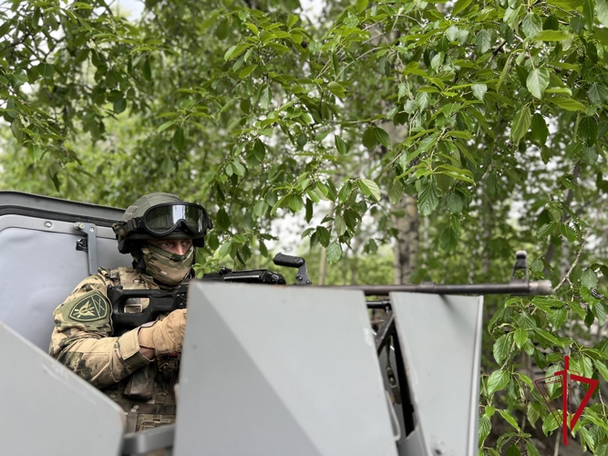 В ЕАО Росгвардия успешно прошла проверку боеготовности в ходе тактико-специальных учений «Экран-Николаевка-2025»