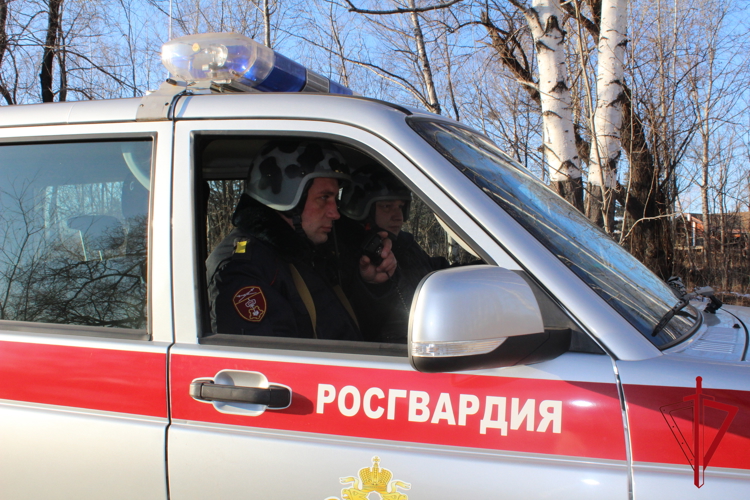 В Биробиджане агрессивное вождение пресечено патрулем вневедомственной охраны