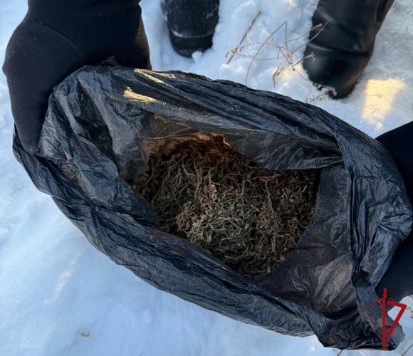 В ЕАО при поддержке росгвардейцев задержана группа лиц за нелегальный сбор наркотиков