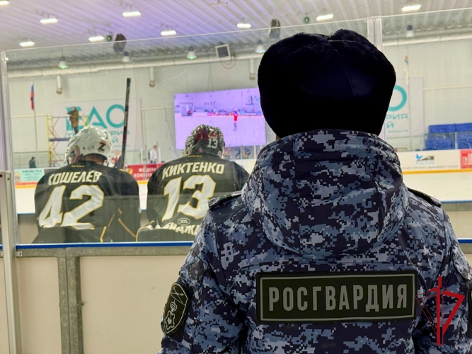 Сотрудники Росгвардии обеспечили безопасность хоккейного турнира «Воин» в ЕАО