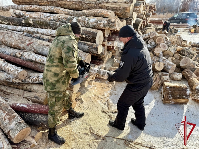 Помощь семьям и воспитание патриотов в рамках акции «10 добрых дел» Управления Росгвардии по Еврейской автономной области