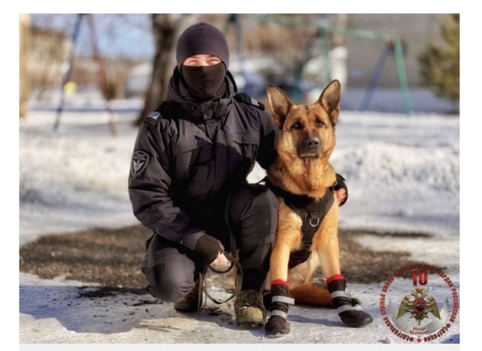 Фотоконкурс "Служат два товарища" - выбираем самых обаятельных напарников росгвардейцев
