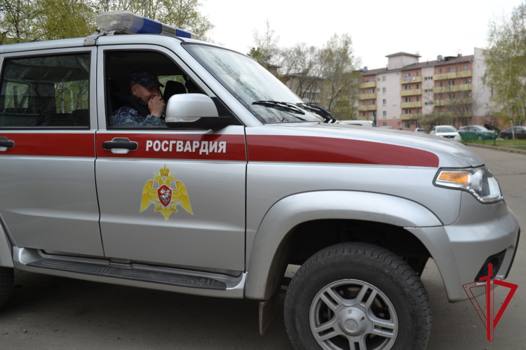 Наряд Росгвардии предотвратил похищение девушки в ЕАО