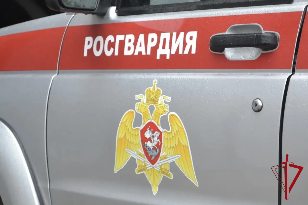 Бойцы Росгвардии задержали мужчину, устроившего дебош в кафе Биробиджана