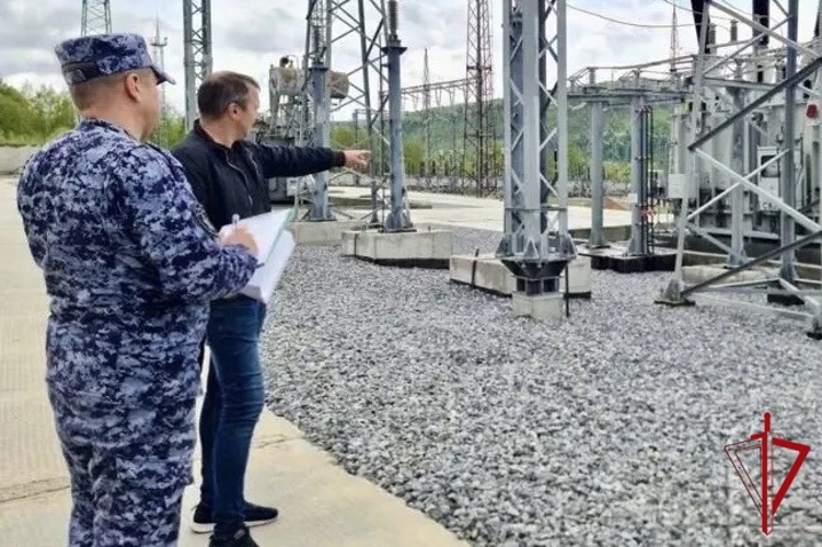 Подведены итоги работы отдела госконтроля Росгвардии за 5 месяцев текущего года в ЕАО