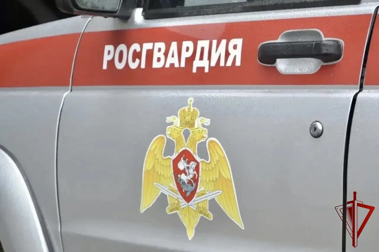 В Биробиджане росгвардейцы задержали гражданку за дебош в общественном месте