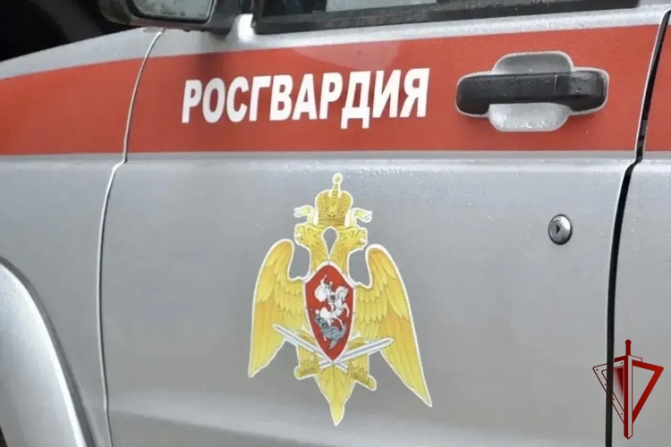 В Биробиджане росгвардейцы задержали гражданку за дебош в общественном месте
