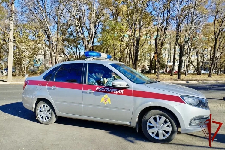 Росгвардия ЕАО разъясняет: когда и зачем используются синие проблесковые маячки на служебном транспорте
